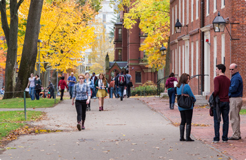 网站攻击工具手机版