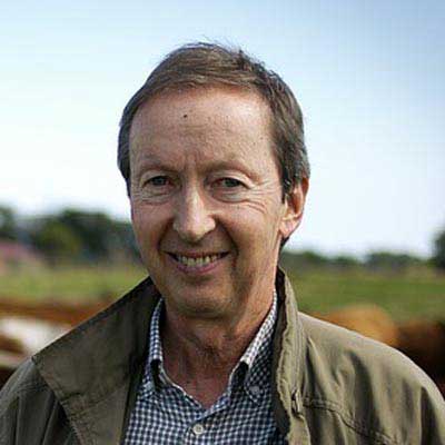 ddos攻击在哪能买到